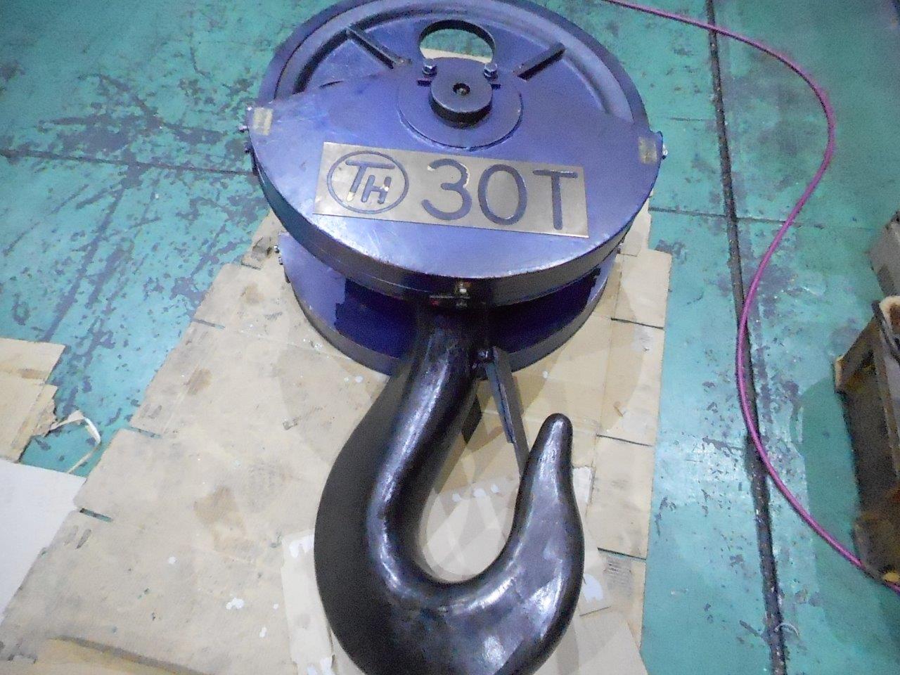 中古その他運送/荷役機械 CEW-300CS/100 Toyo Hoist